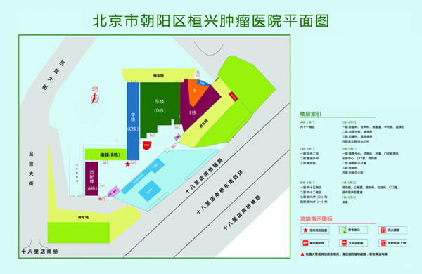 日鸡巴视频北京市朝阳区桓兴肿瘤医院平面图